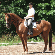 Galba
